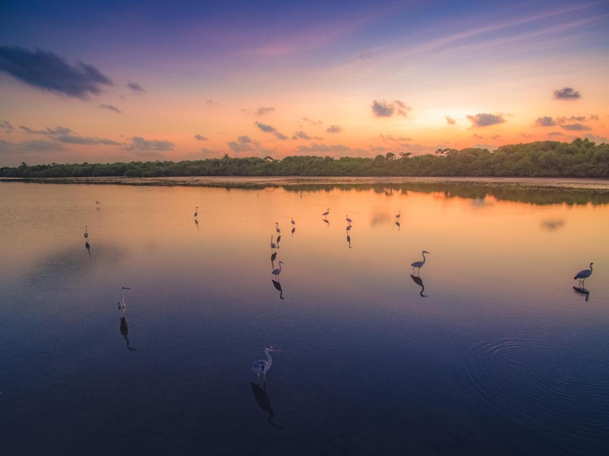 Fiyala Homestay Addu City Eksteriør billede