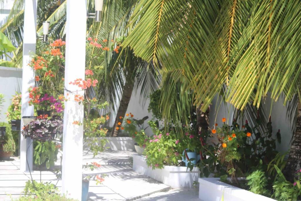 Fiyala Homestay Addu City Eksteriør billede